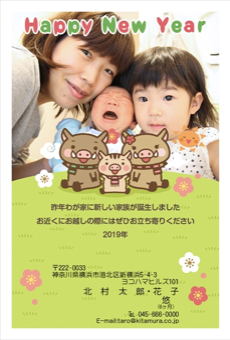 カメラのキタムラ2019年写真入り年賀状