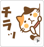 LINEスタンプ 動く!三毛猫のみけ田さんのスタンプ